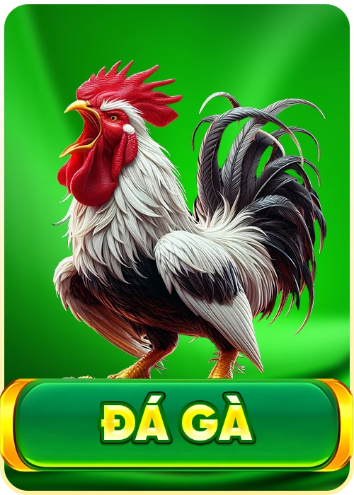 đá gà